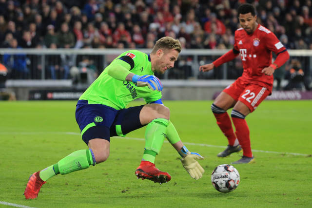 两栖能力在 两栖能力在